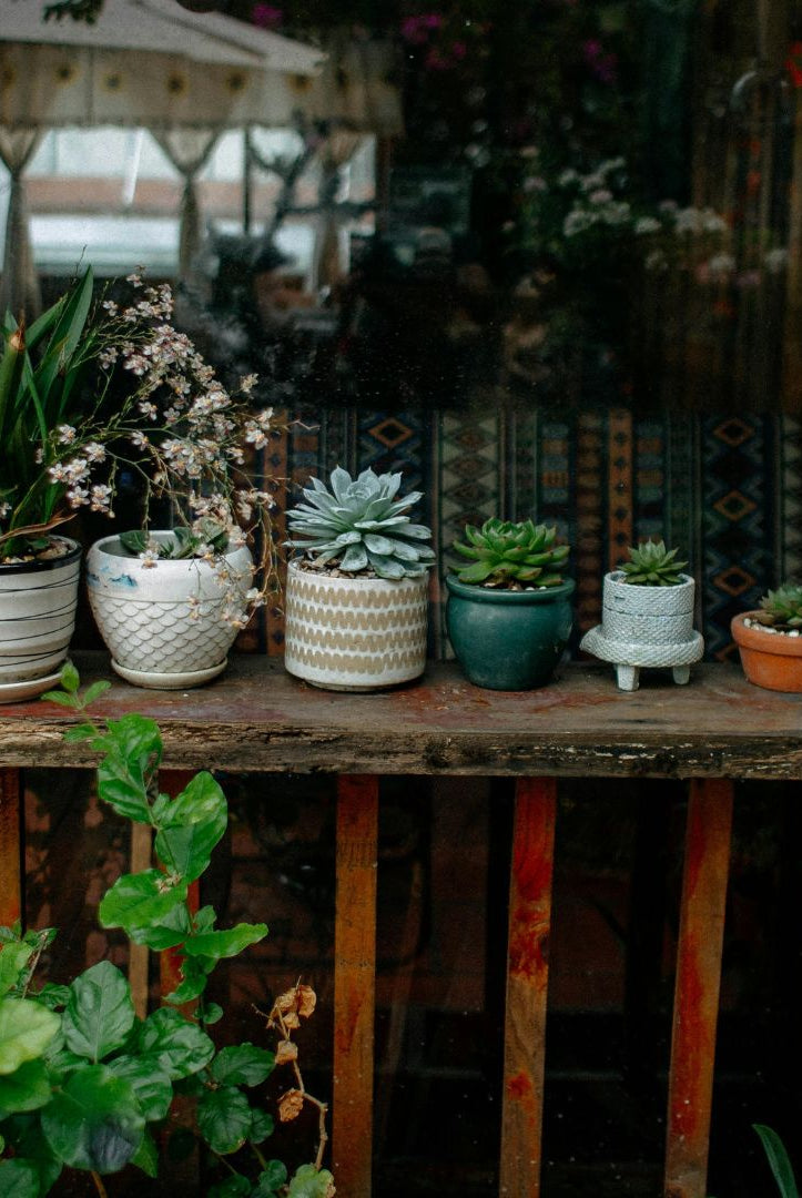 Planters, Pots & Raised Beds