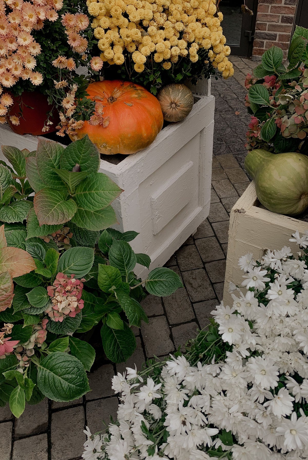 Fall Planting Collection