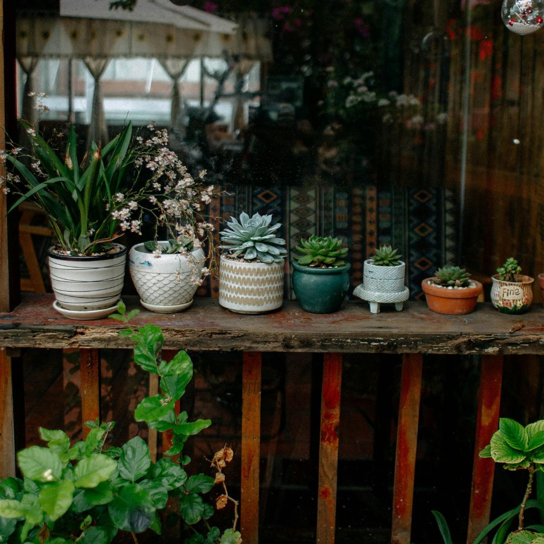 Planters, Pots & Raised Beds