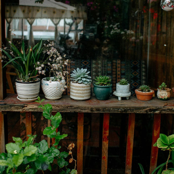 Planters, Pots & Raised Beds