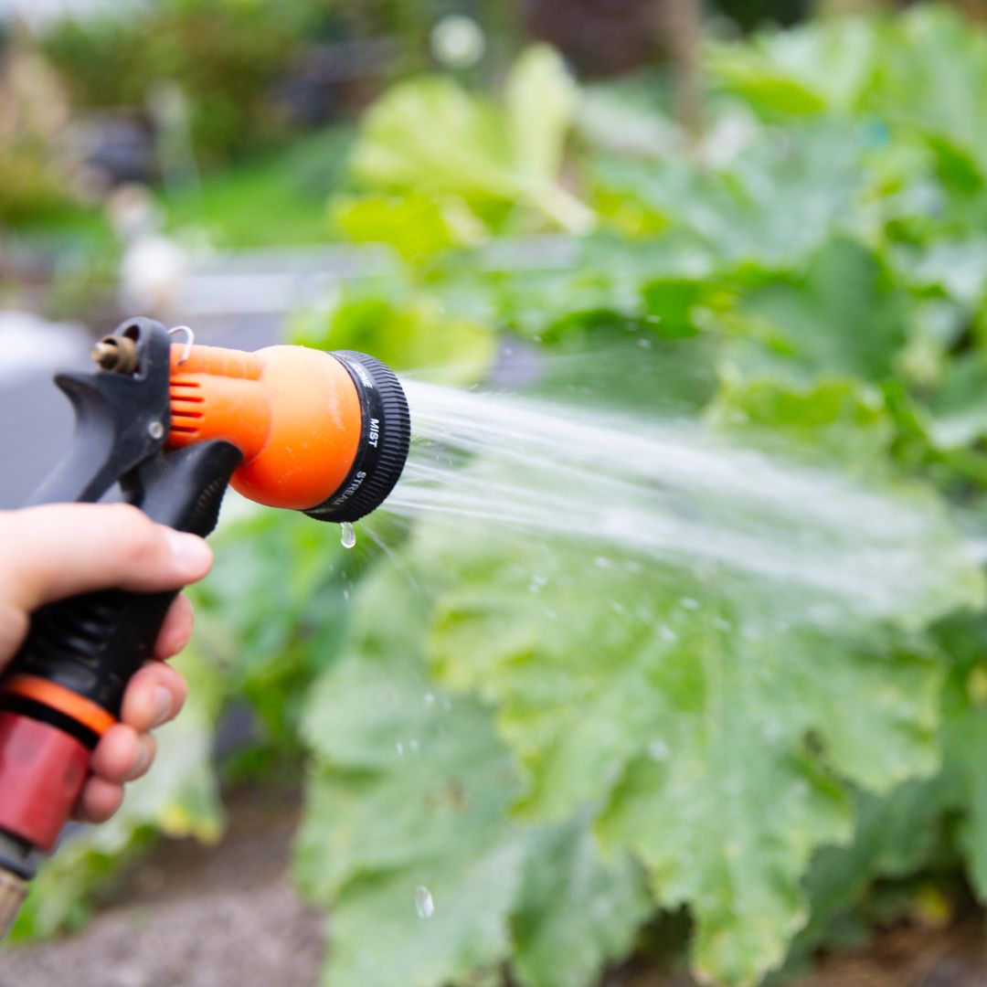Watering Equipment & Irrigation
