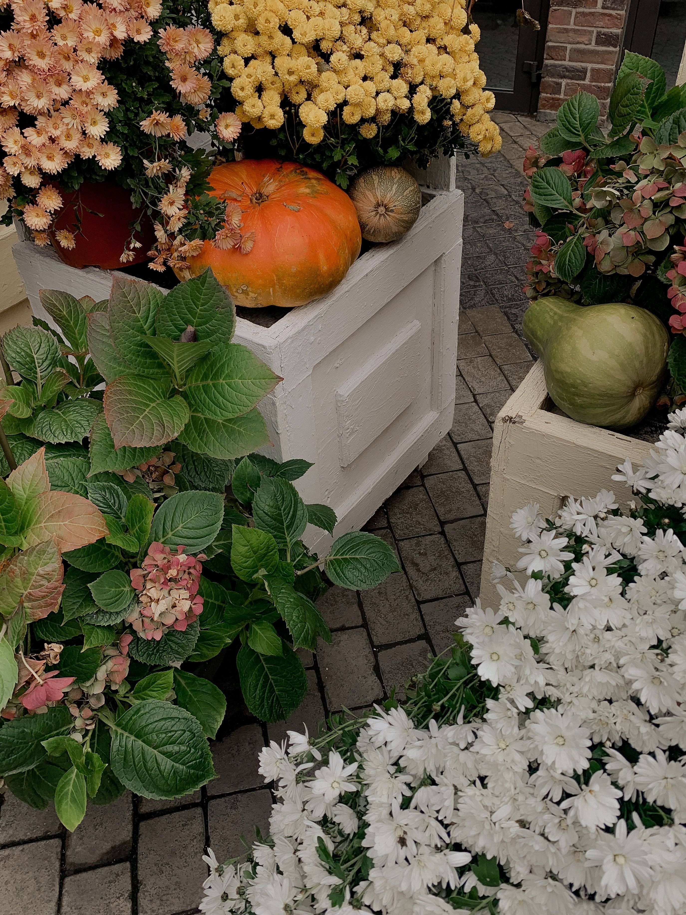 Fall Planting Collection