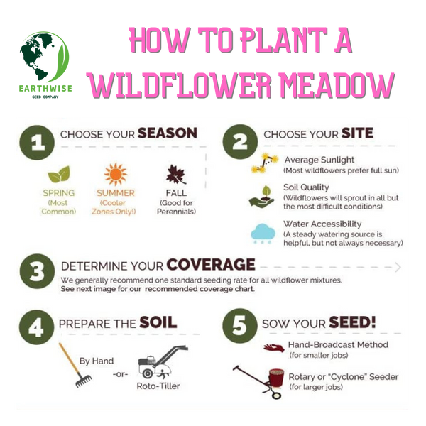 Northeast Native & Naturalized Wildflower Mix
