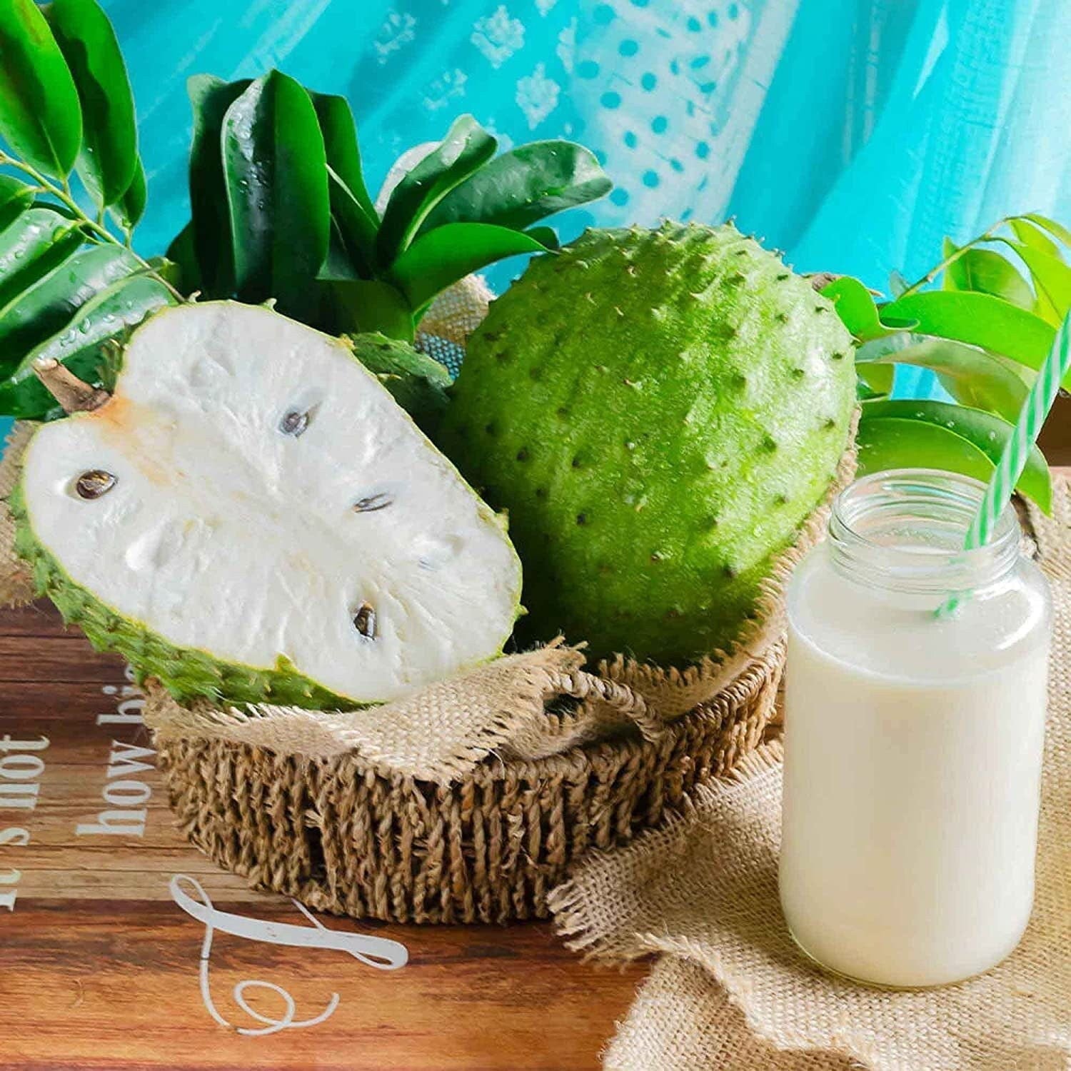 Annona Muricata Soursop Seeds Non GMO Tropical Fruit Seeds