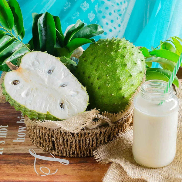Annona Muricata Soursop Seeds Non GMO Tropical Fruit Seeds