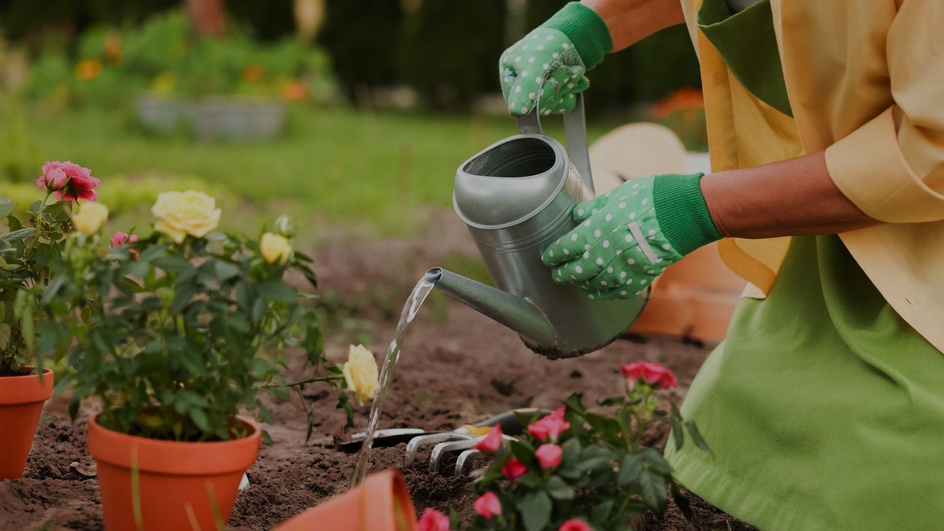 Person watering plants with a watering can in a garden setting