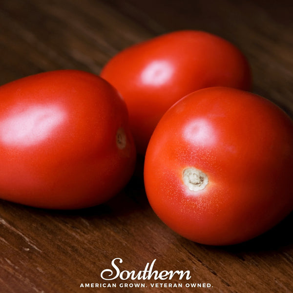 Roma VF Tomato – 50 Seeds